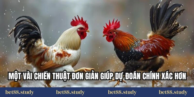 Một vài chiến thuật đơn giản giúp dự đoán chính xác hơn