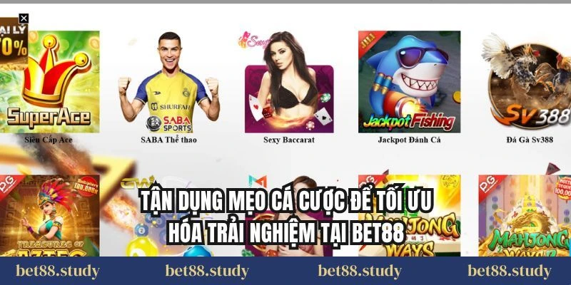 Thể Thao Bet88 Là Gì?